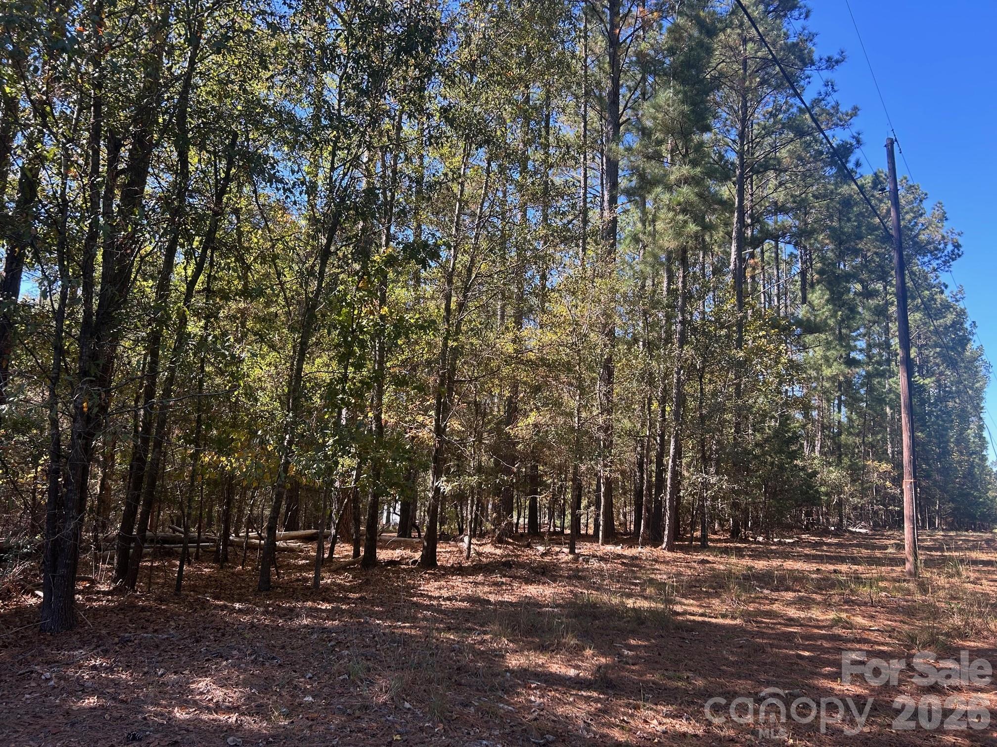 5-ac Lot 5 5-ac Road Richburg, SC 29729 - Photo 8 of 41 a view of road with trees