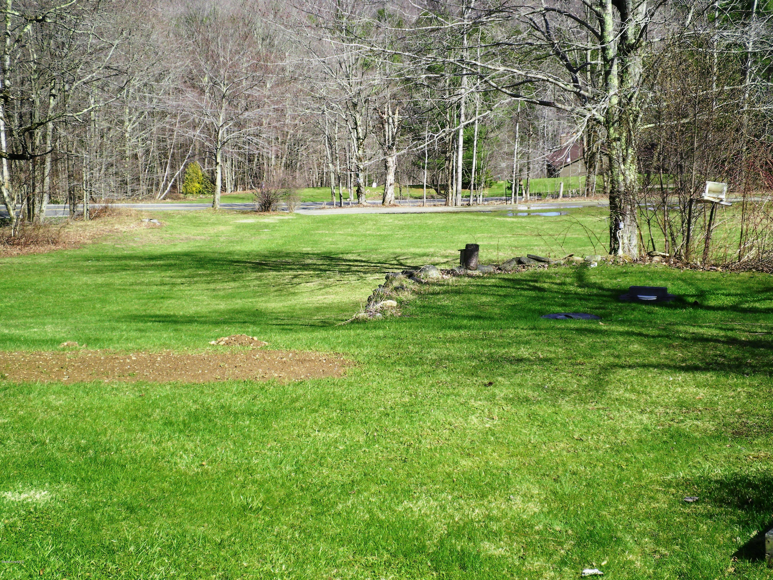 104 Middlefield Road Peru, MA 01235 - Photo 8 of 29 a view of a park with large trees