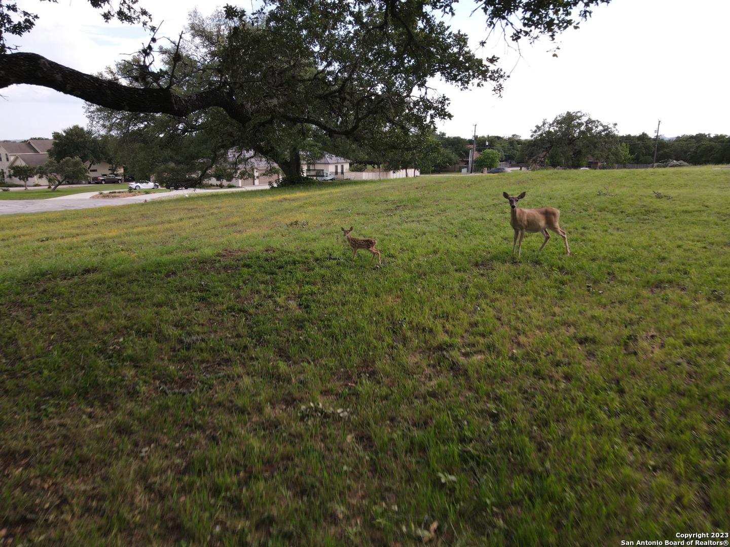 0 Bat Cave Road Garden Ridge, TX 78266 - Photo 10 of 15