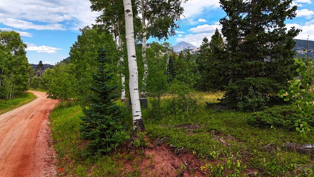 Tbd Baker Creek Road La Veta, CO 81055 - Photo 12 of 13