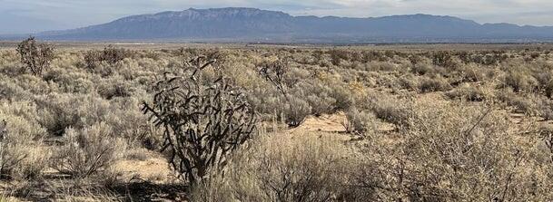 2415 22nd Street Southwest Rio Rancho, NM 87124 - Photo 2 of 5 Gallery Image 2
