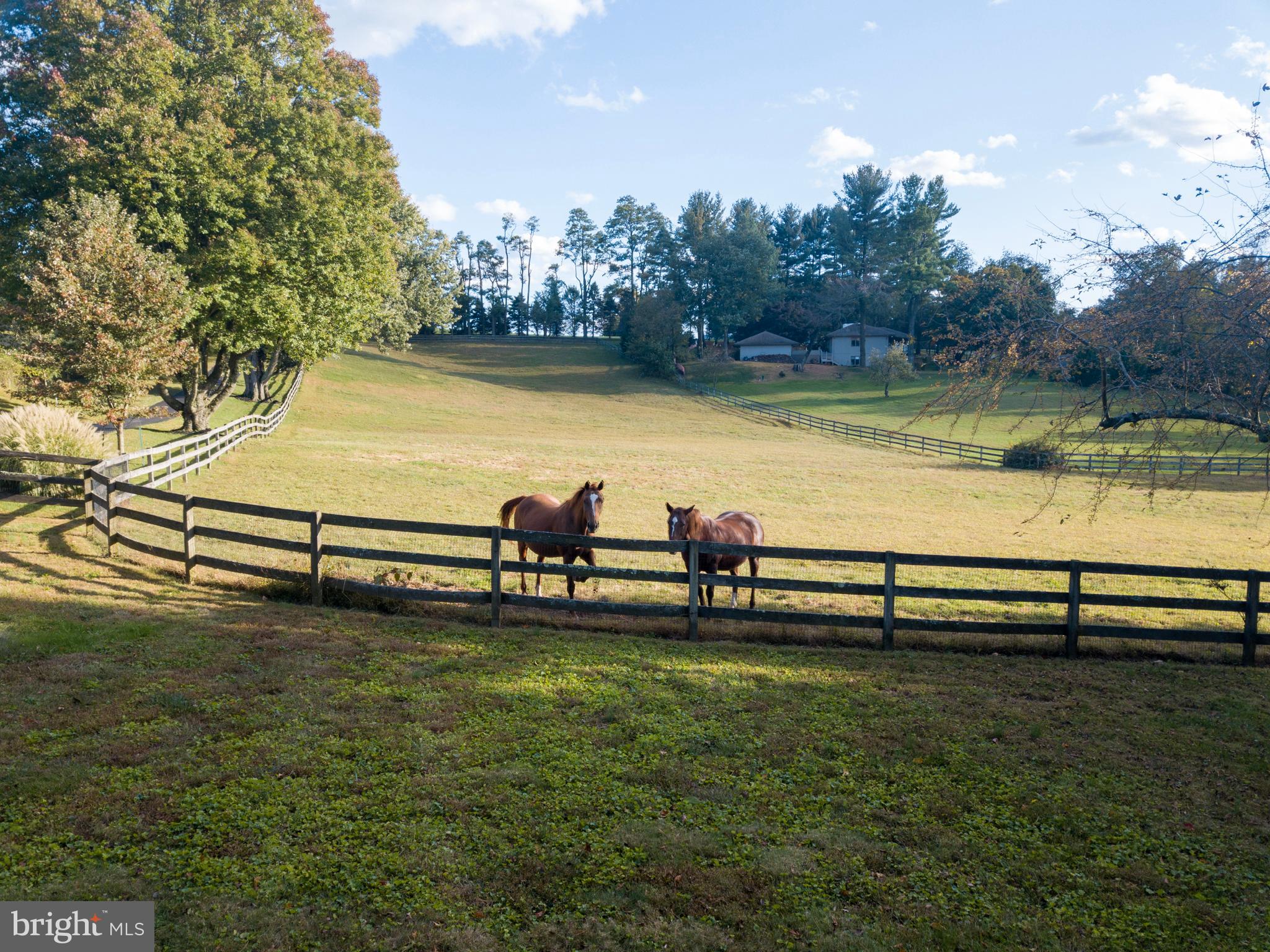 1107 Meetinghouse Road West Chester, PA 19382 - Photo 18 of 91