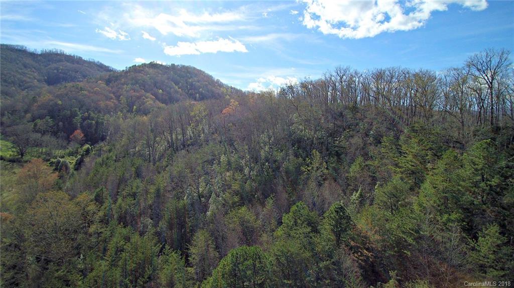 0 Levi Mathis Road Whittier, NC 28789 - Photo 11 of 12 Gallery Image 11