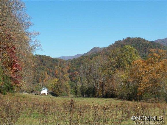 0 Levi Mathis Road Whittier, NC 28789 - Photo 5 of 12 Gallery Image 5