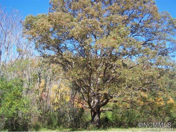 0 Levi Mathis Road Whittier, NC 28789 - Photo 8 of 12 Gallery Image 8