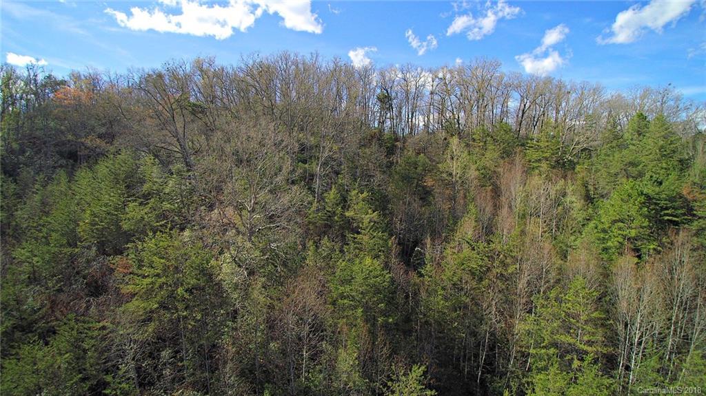 0 Levi Mathis Road Whittier, NC 28789 - Photo 10 of 12 Gallery Image 10