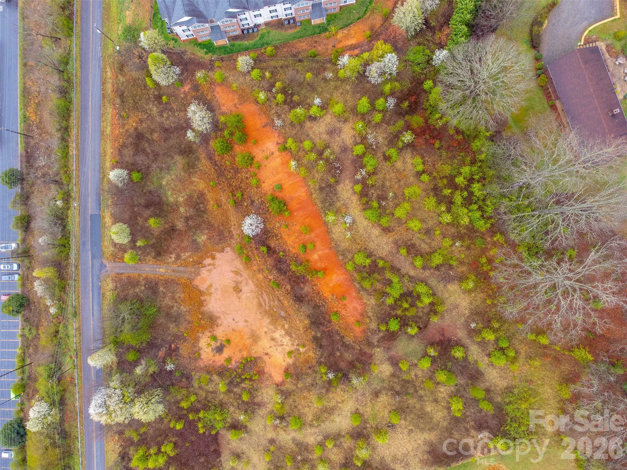 0 Connor Road Sylva, NC 28779 - Photo 22 of 22 a view of a tree