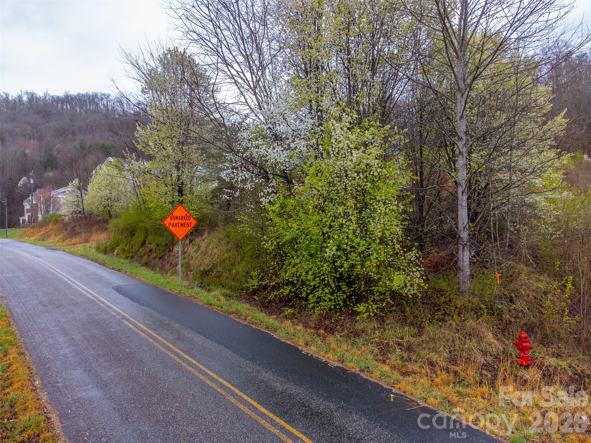 0 Connor Road Sylva, NC 28779 - Photo 4 of 22 a view of a bunch of trees and flowers