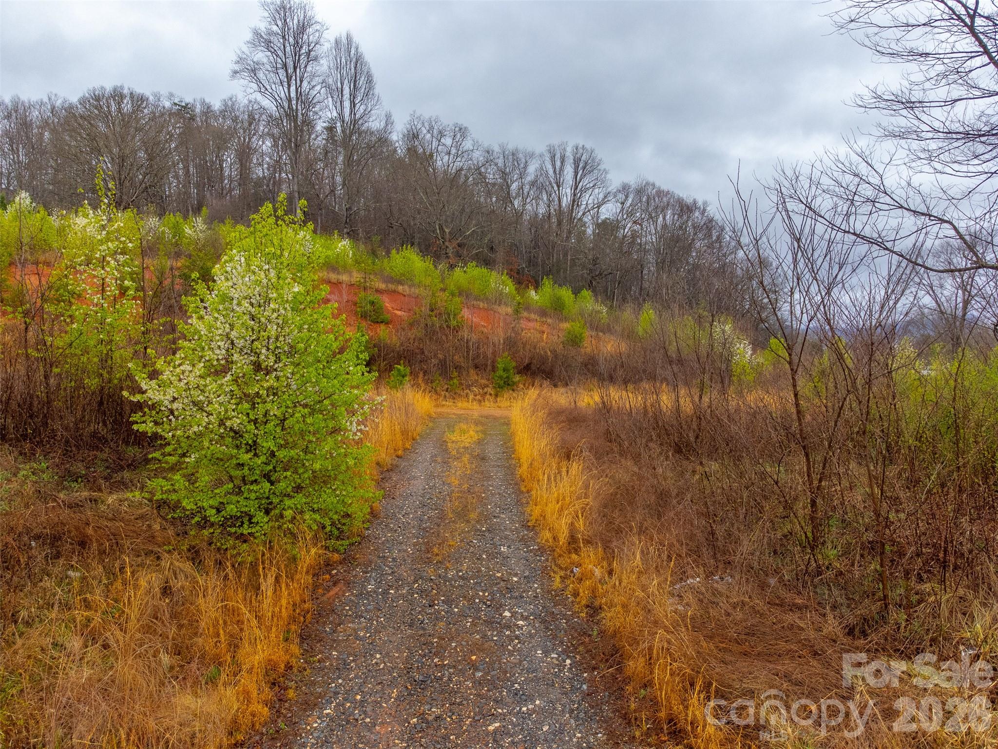 0 Connor Road Sylva, NC 28779 - Photo 5 of 22 a view of lake with lots of trees