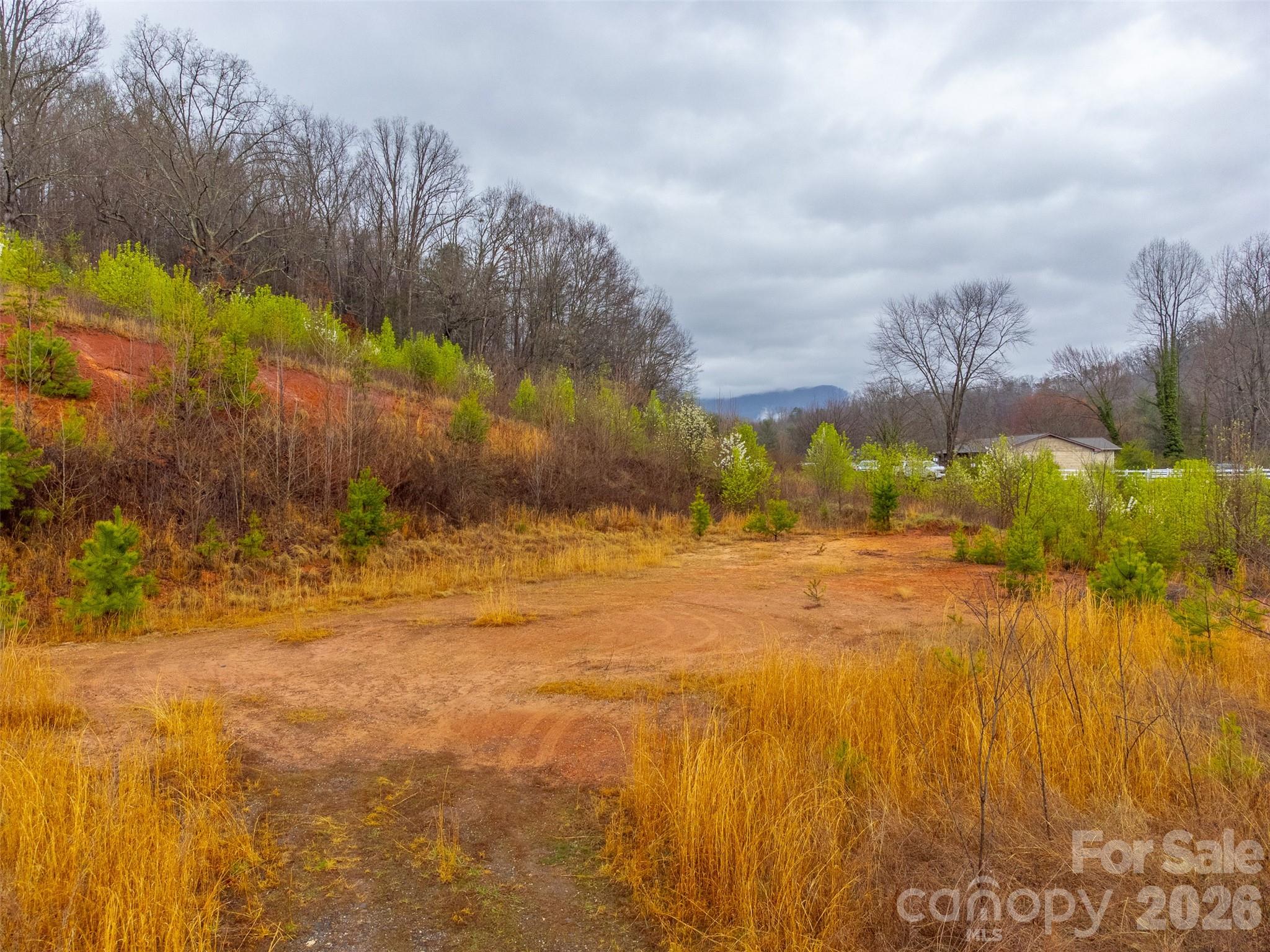 0 Connor Road Sylva, NC 28779 - Photo 6 of 22 a view of yard with swimming pool and green space