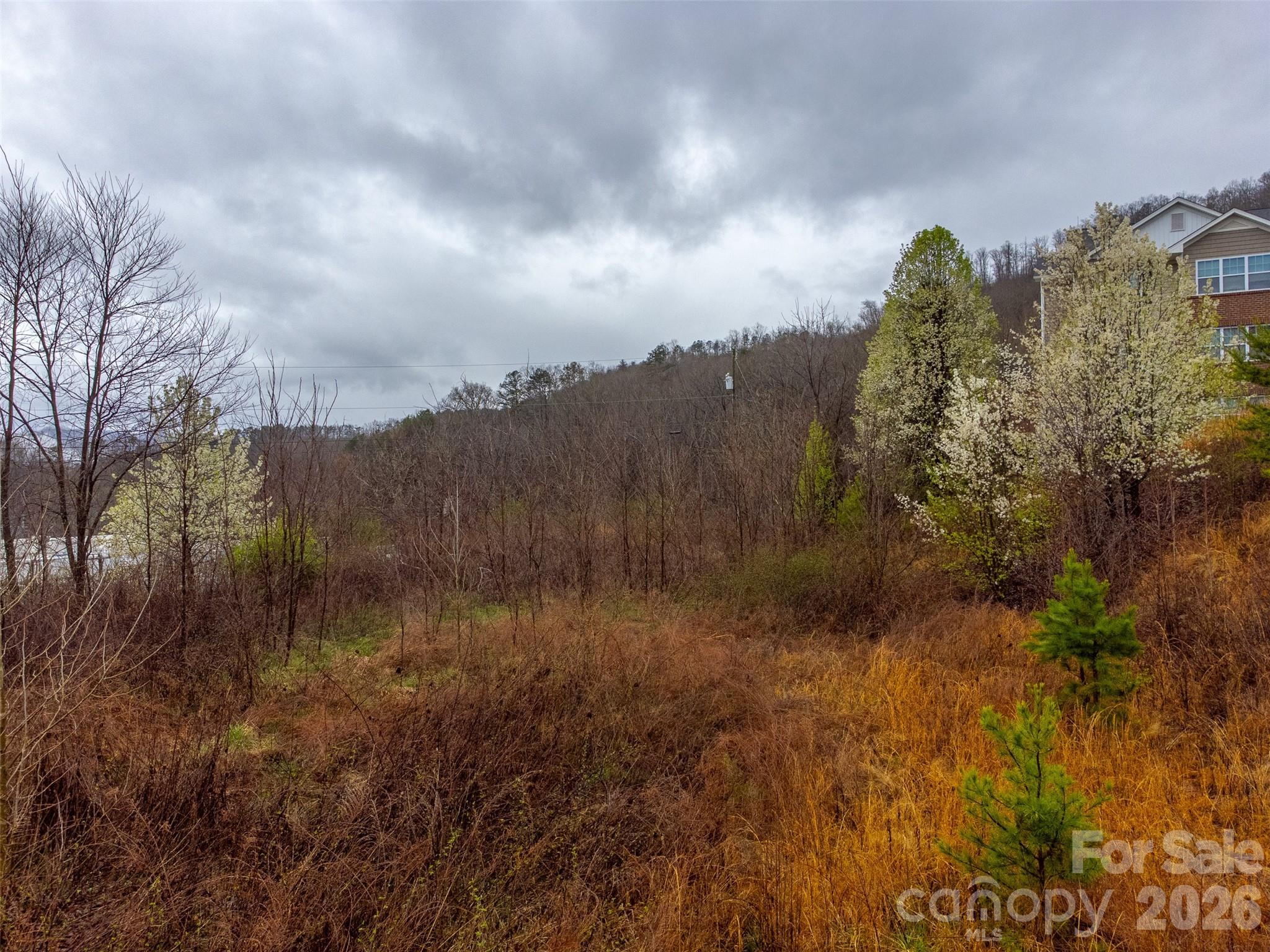 0 Connor Road Sylva, NC 28779 - Photo 7 of 22