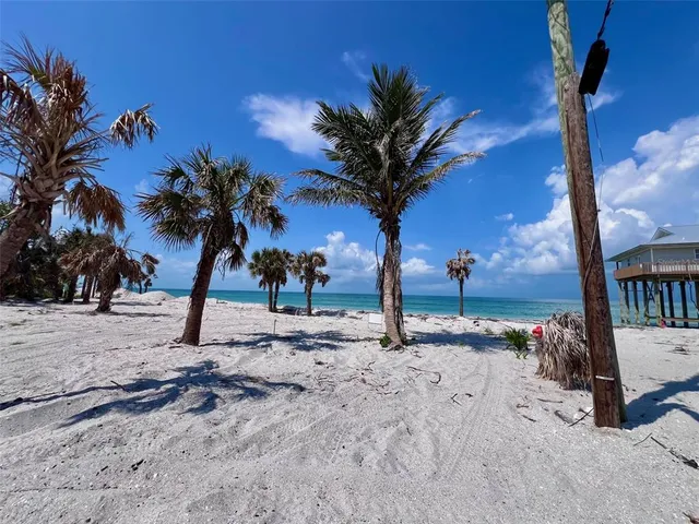 a view of a yard with a tree in the patio