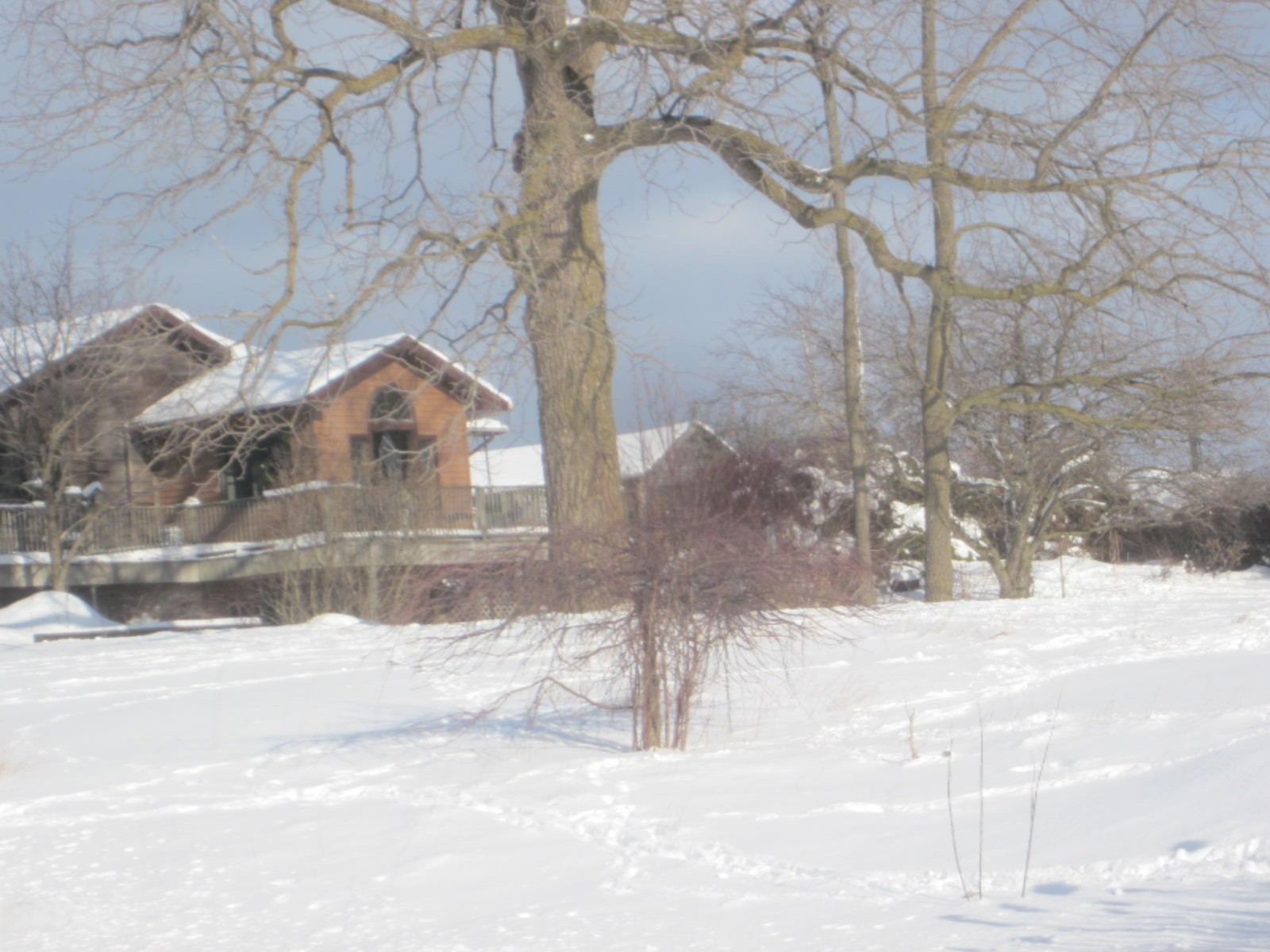 286 South Stone Road Fremont, MI 49412 - Photo 2 of 22 IMG_0848
