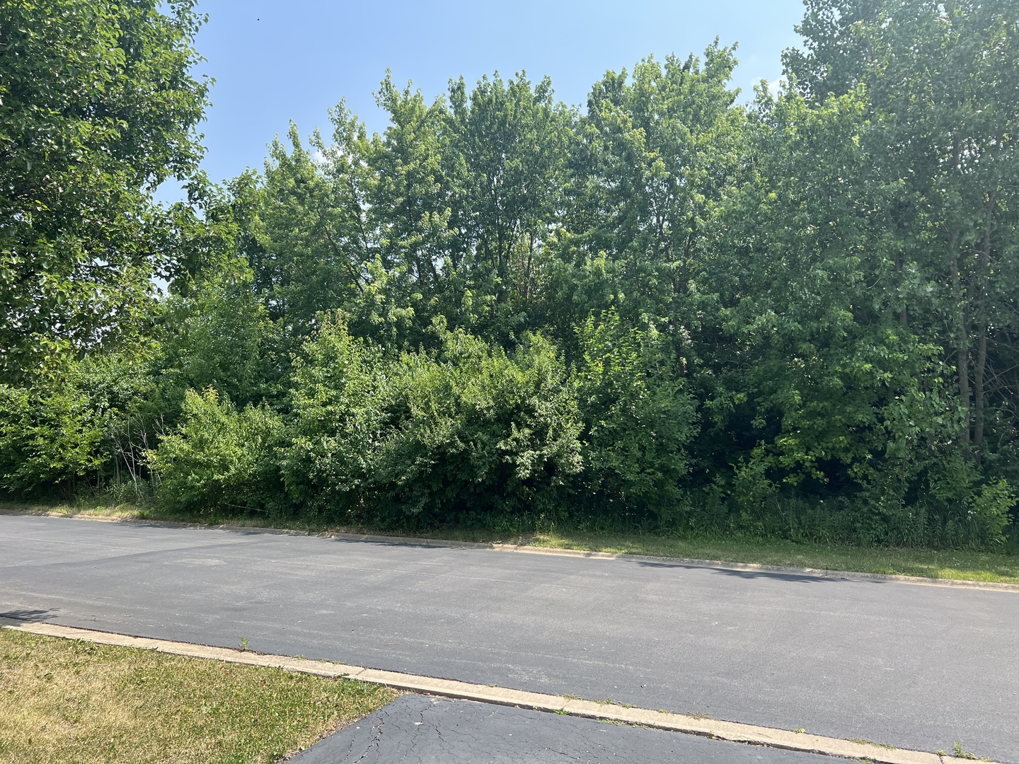 405 James Road Elwood, IL 60421 - Photo 26 of 27 a view of a yard with plants and trees