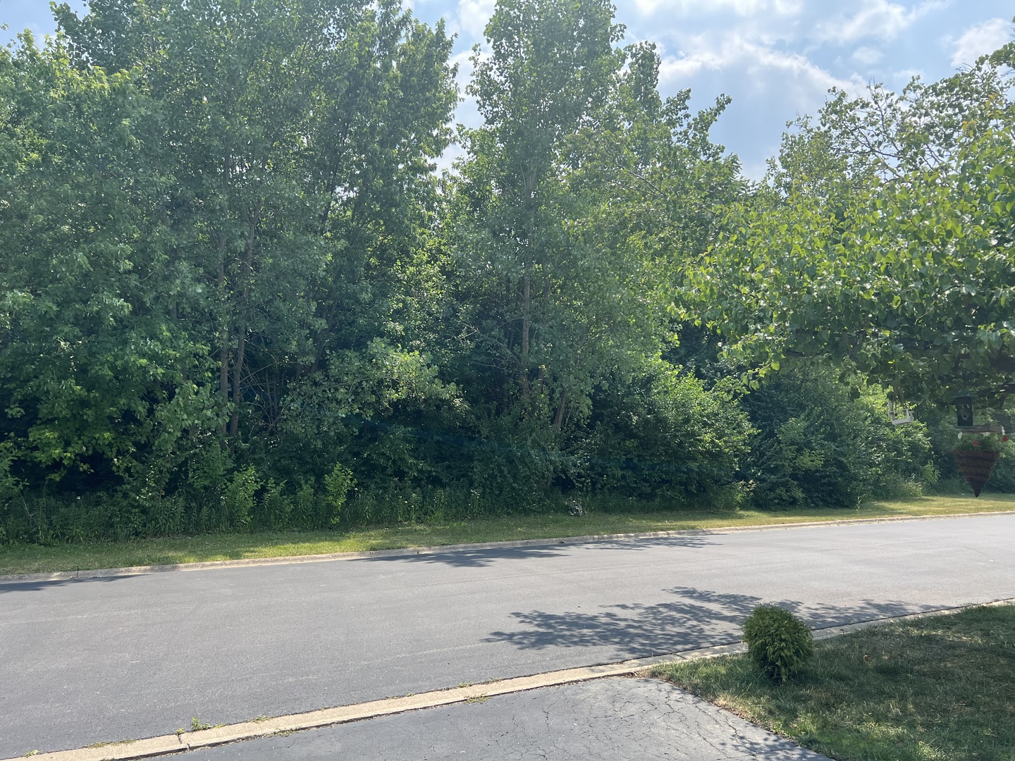 405 James Road Elwood, IL 60421 - Photo 27 of 27 a view of a road with a yard