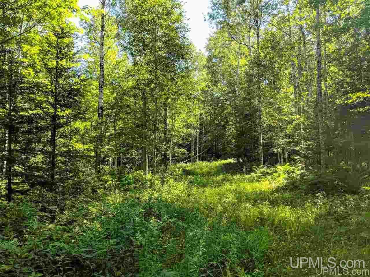 1356 Bates-Amasa Road Iron River, MI 49935 - Photo 4 of 11