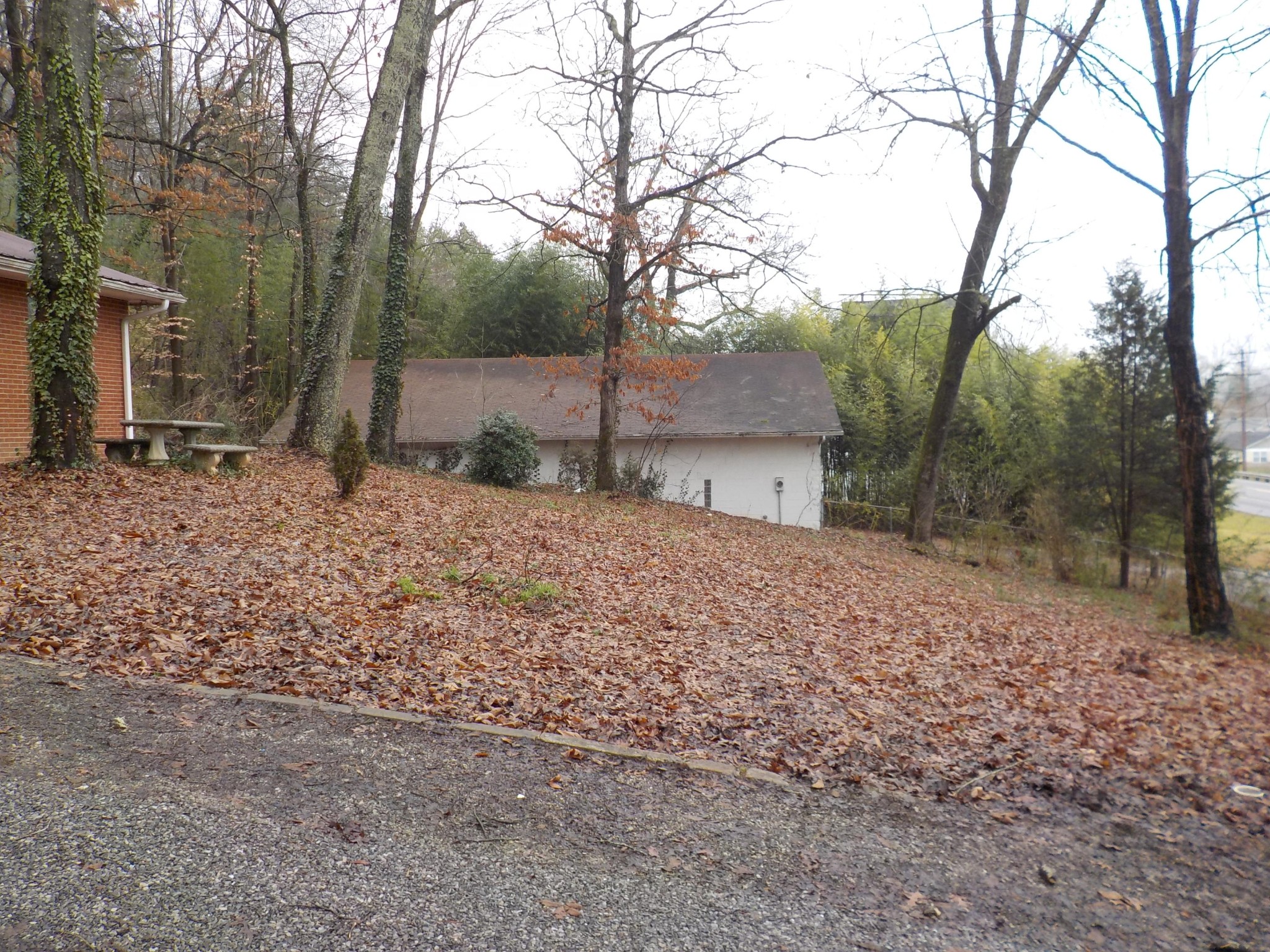 646 Edgemoor Road Powell, TN 37849 - Photo 16 of 22 a backyard of a house with lots of green space