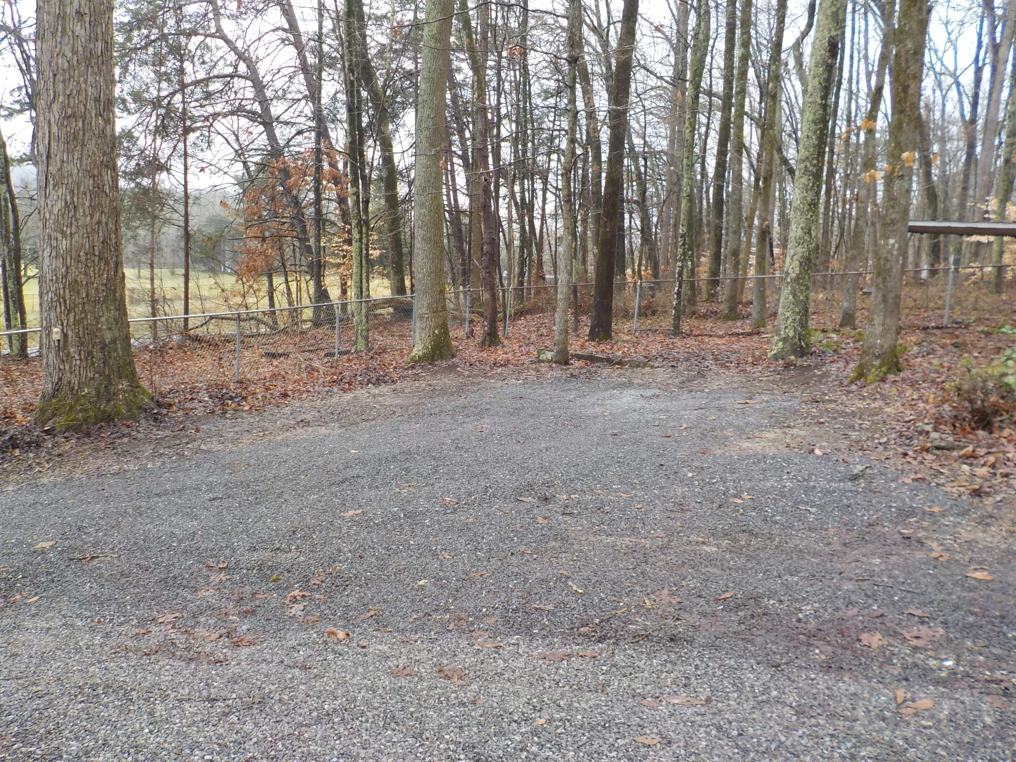 646 Edgemoor Road Powell, TN 37849 - Photo 17 of 22 a view of a backyard with large trees