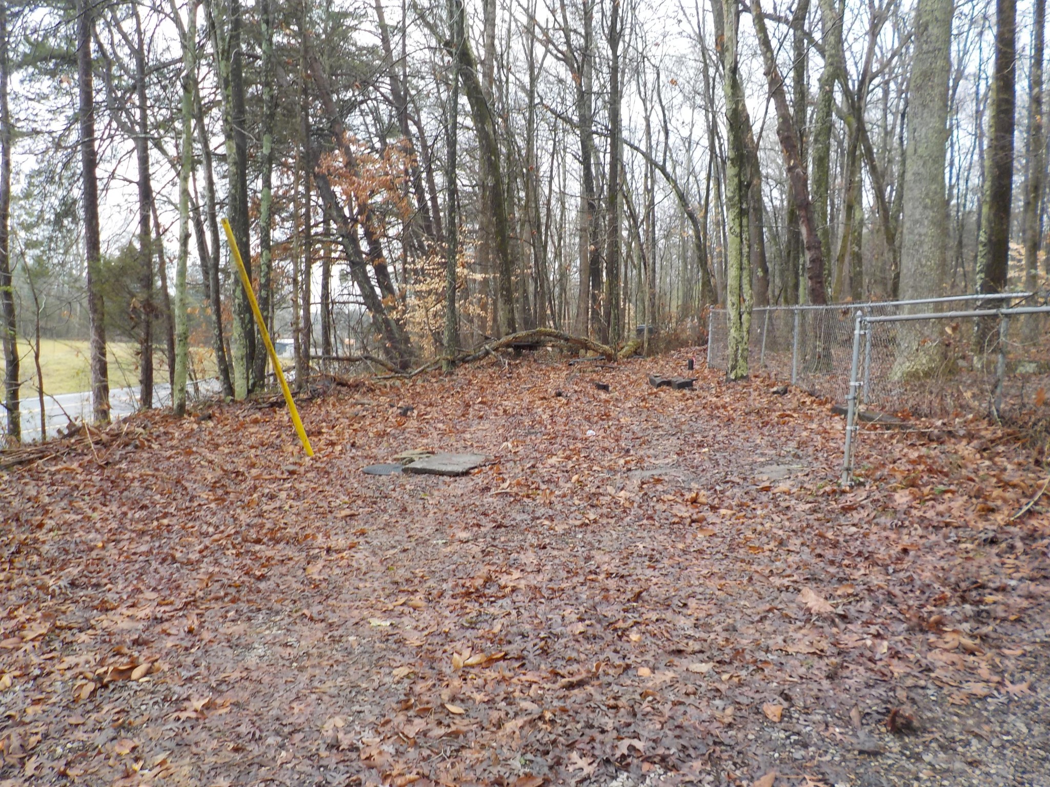 646 Edgemoor Road Powell, TN 37849 - Photo 18 of 22 a backyard of a house with lots of green space