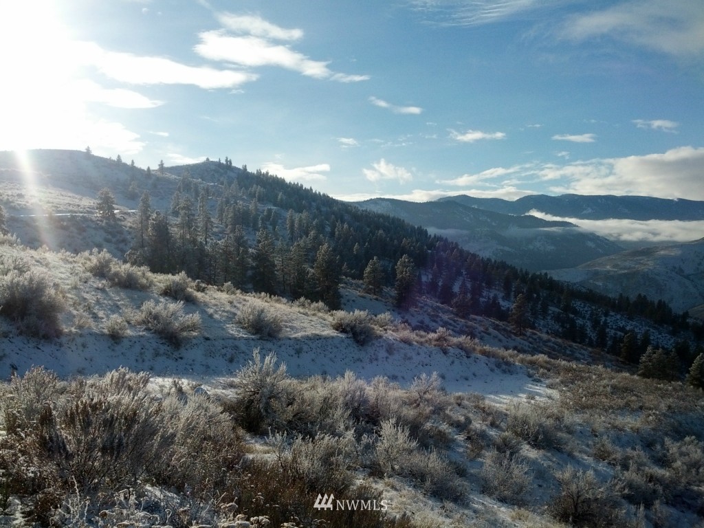 28 Cowboy Road Methow, WA 98834 - Photo 3 of 3