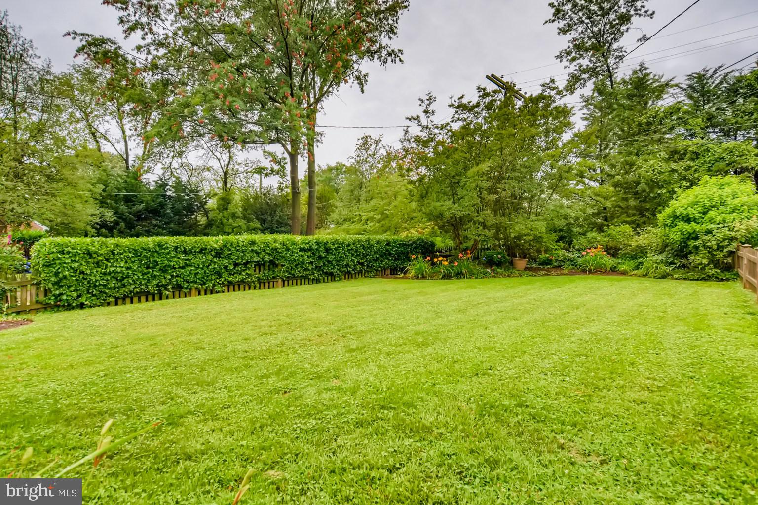 5304 Springlake Way Baltimore, MD 21212 - Photo 29 of 30 Rear Yard