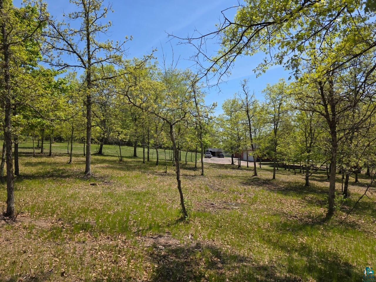 11702 East Mail Road Gordon, WI 54838 - Photo 22 of 49 Wooded grounds featuring mature deciduous trees and natural grass coverage