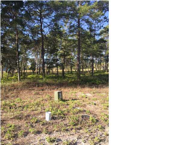 260 Ante Beppum Loop Carrabelle, FL 32322 - Photo 1 of 1