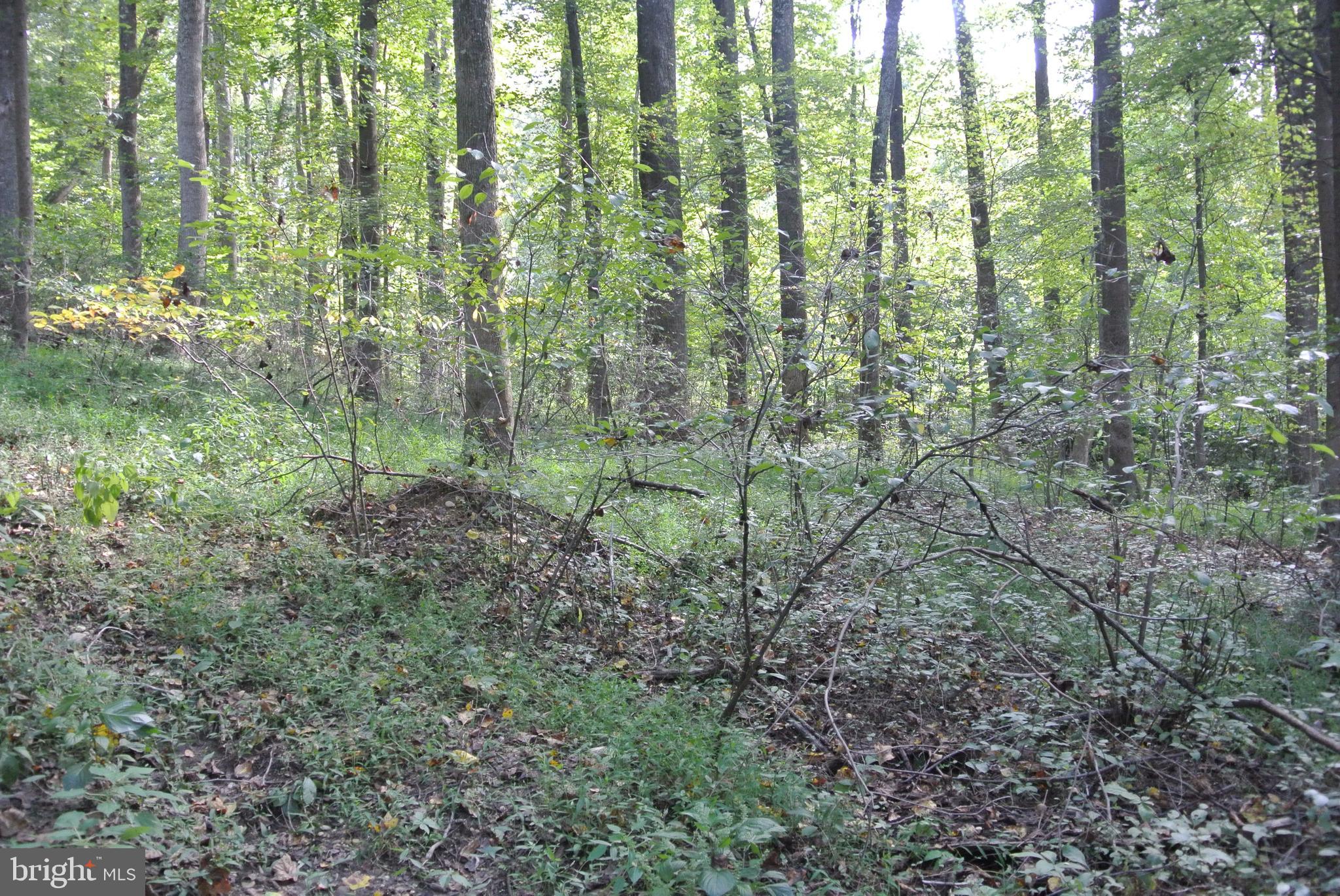 Chapel Point Rd Port Port Tobacco, MD 20677 - Photo 2 of 7