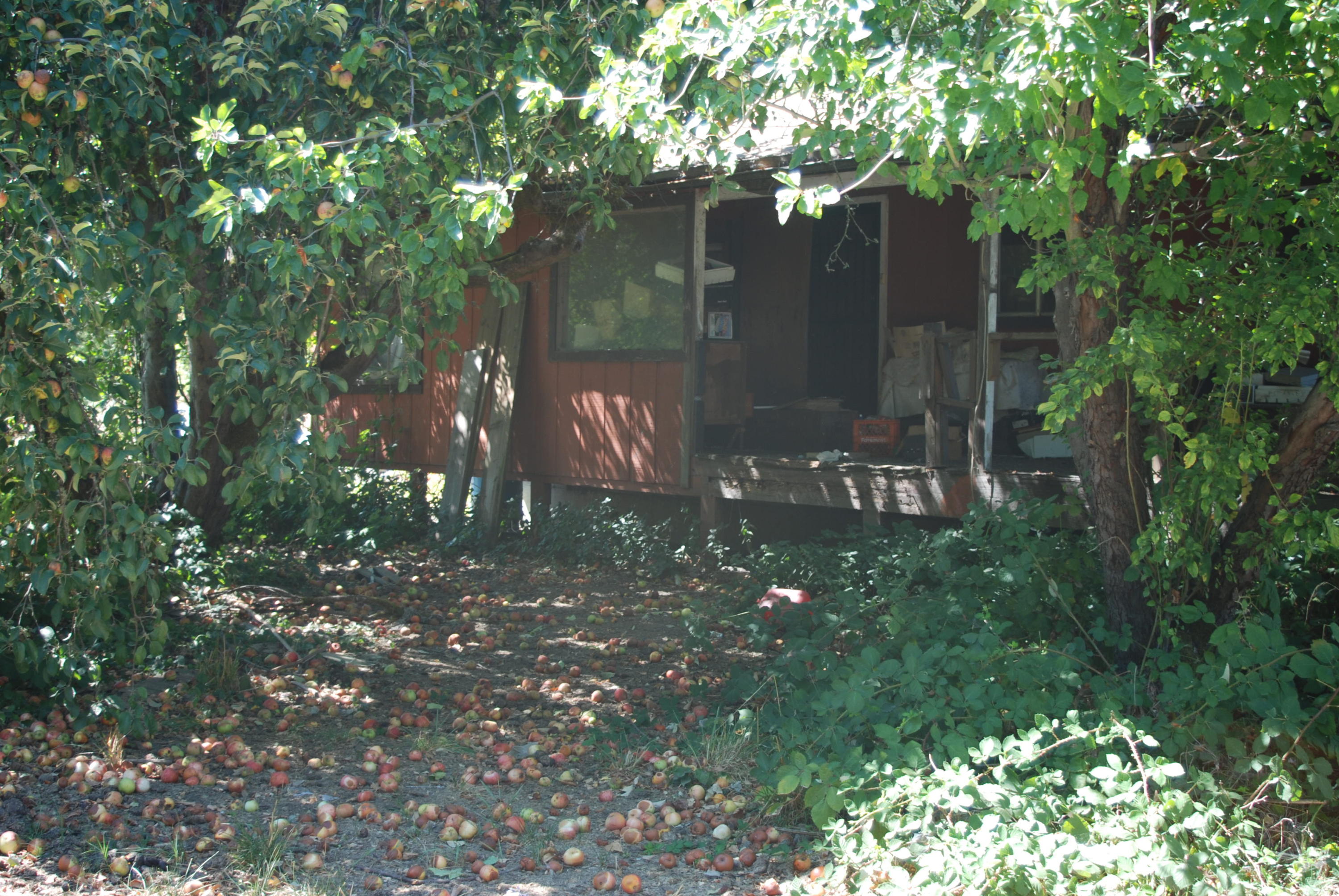 0 Moon Lane Hoopa, CA 95546 - Photo 6 of 15
