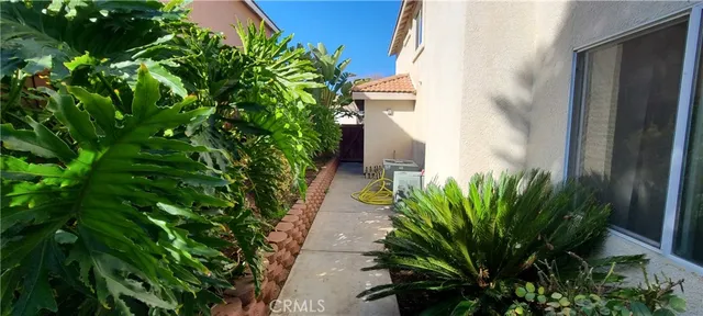 a plant that is in a garden