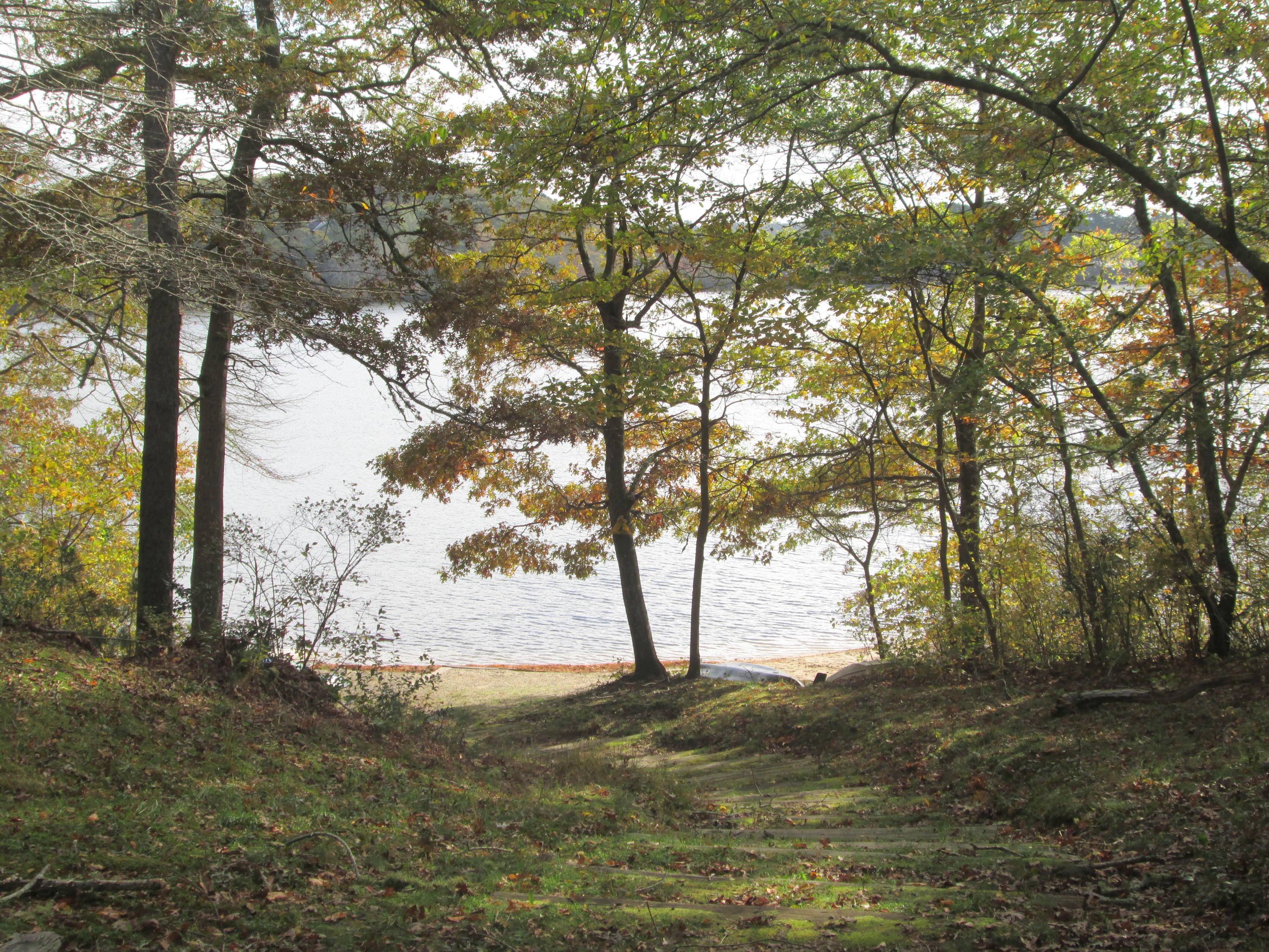 128 Turtleback Road Marstons Mills, MA 02648 - Photo 20 of 20 a view of mountain view with lots of trees