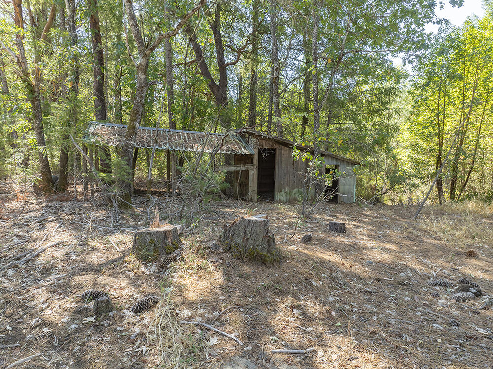 604 Draper Valley Road Selma, OR 97538 - Photo 36 of 45 43
