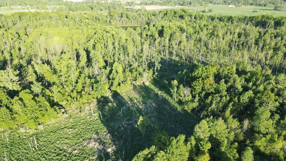 Vl Melcher Road Prescott, MI 48756 - Photo 27 of 65 DJI_0828