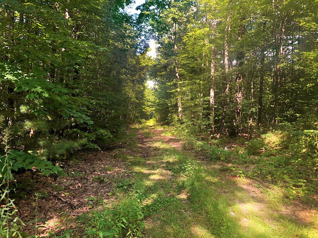 99 Carruth Road Templeton, MA 01468 - Photo 1 of 5 Gallery Image 1