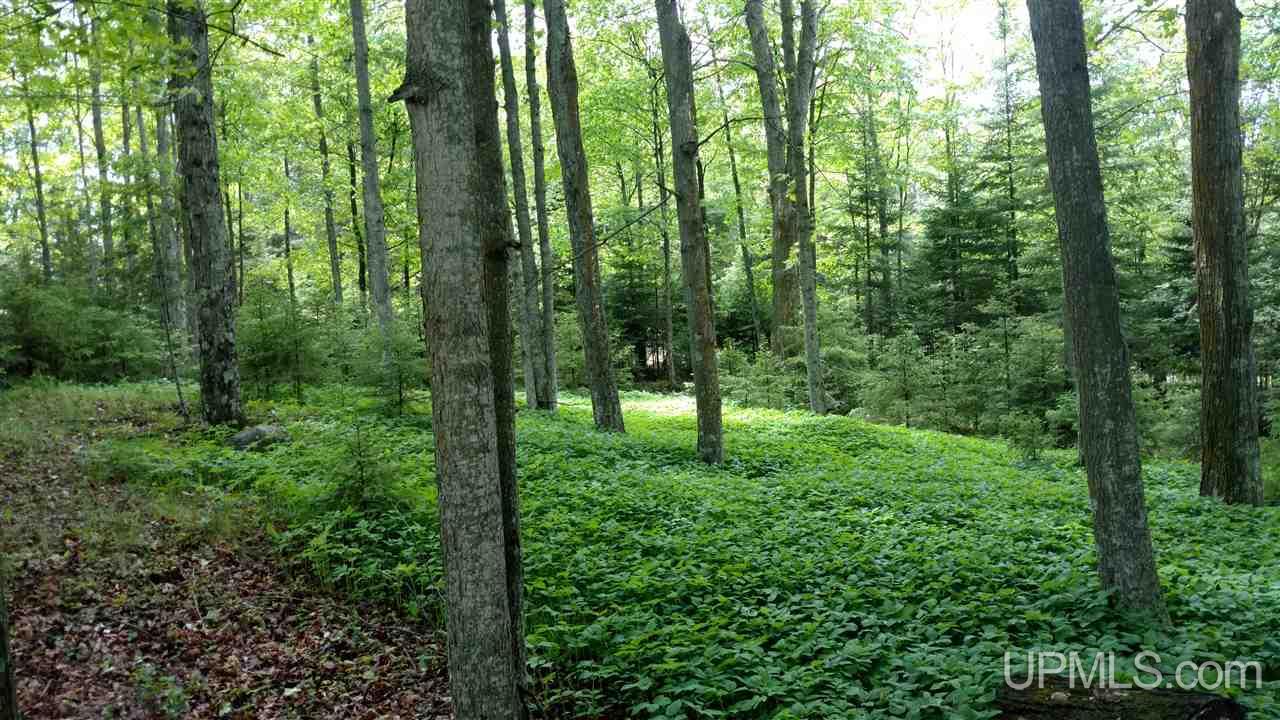 N6270 Boarding House Road Foster City, MI 49834 - Photo 10 of 10