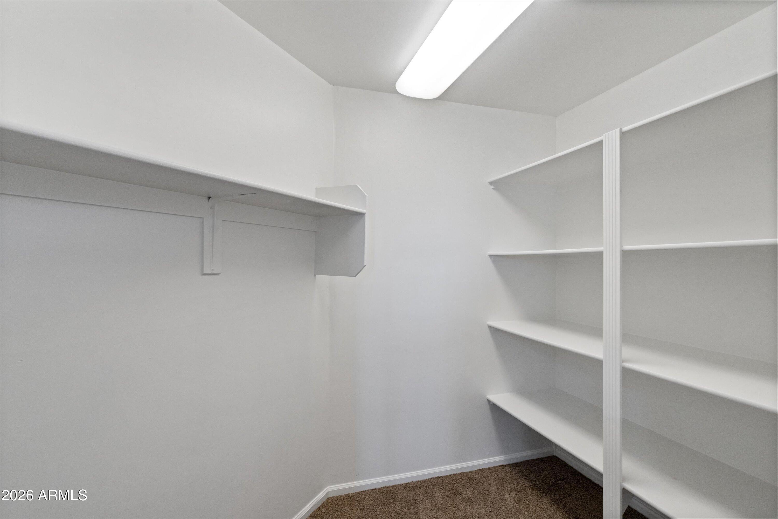 619 East Briles Road Phoenix, AZ 85085 - Photo 77 of 106 078-Lower Unit Hidden Closet