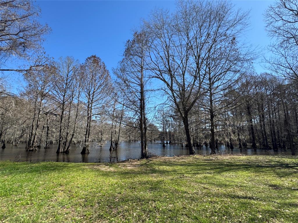 121 Willow Street Heflin, LA 71039 - Photo 22 of 23