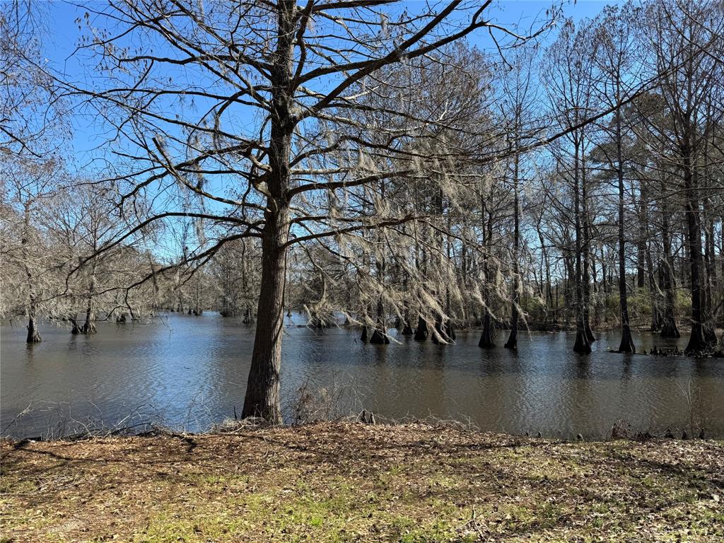 121 Willow Street Heflin, LA 71039 - Photo 23 of 23