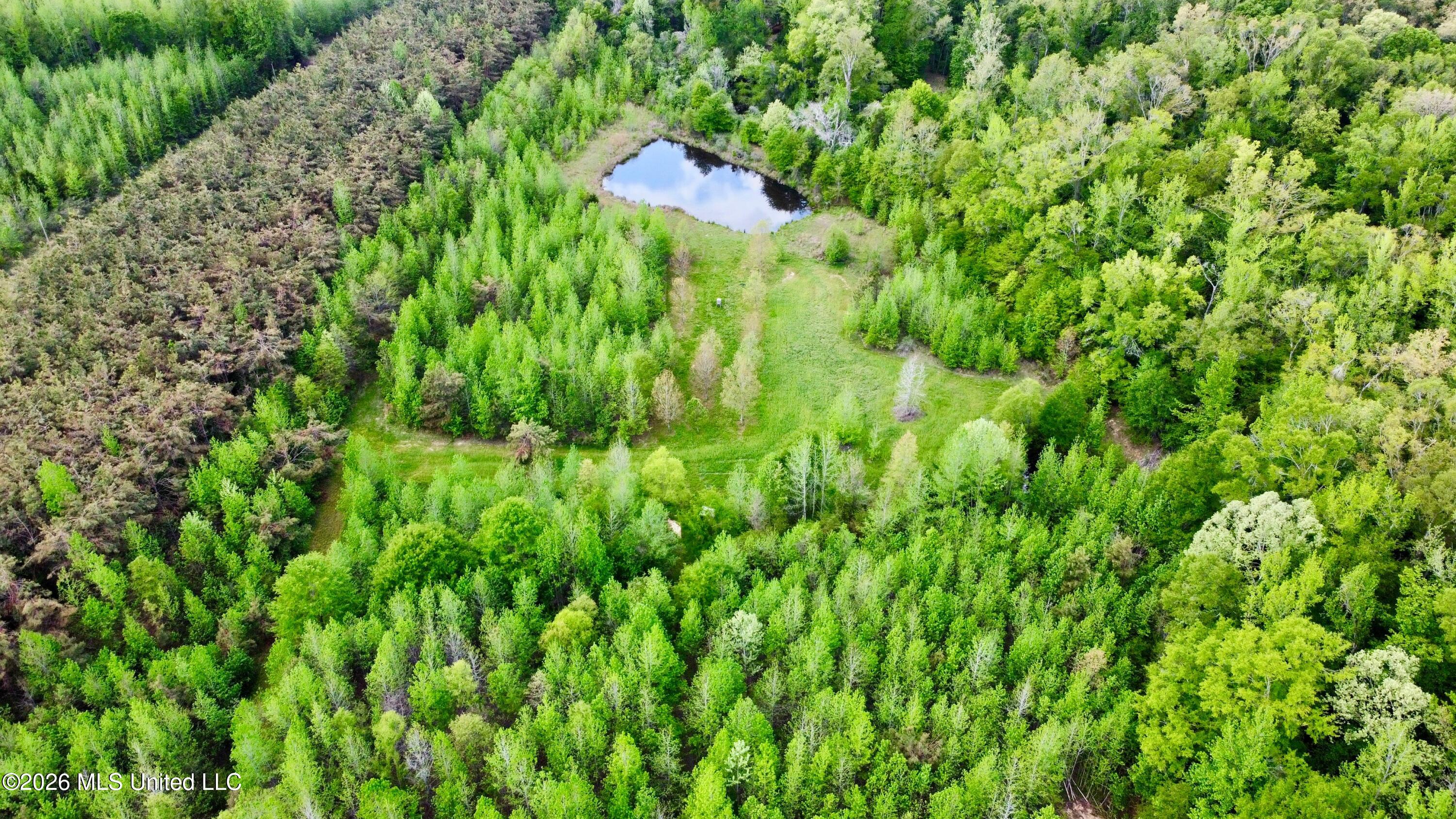 835 Fowler Road Lexington, MS 39095 - Photo 5 of 19 dji_fly_20260411_132152_147_177593207064
