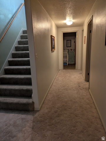 1040 West Mill Road Ferron, UT 84523 - Photo 63 of 117 Carpeted staircase with wooden handrail