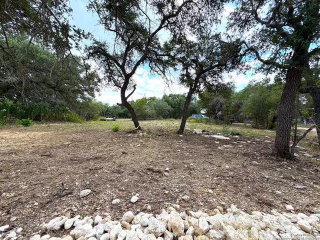 a view of outdoor space with trees