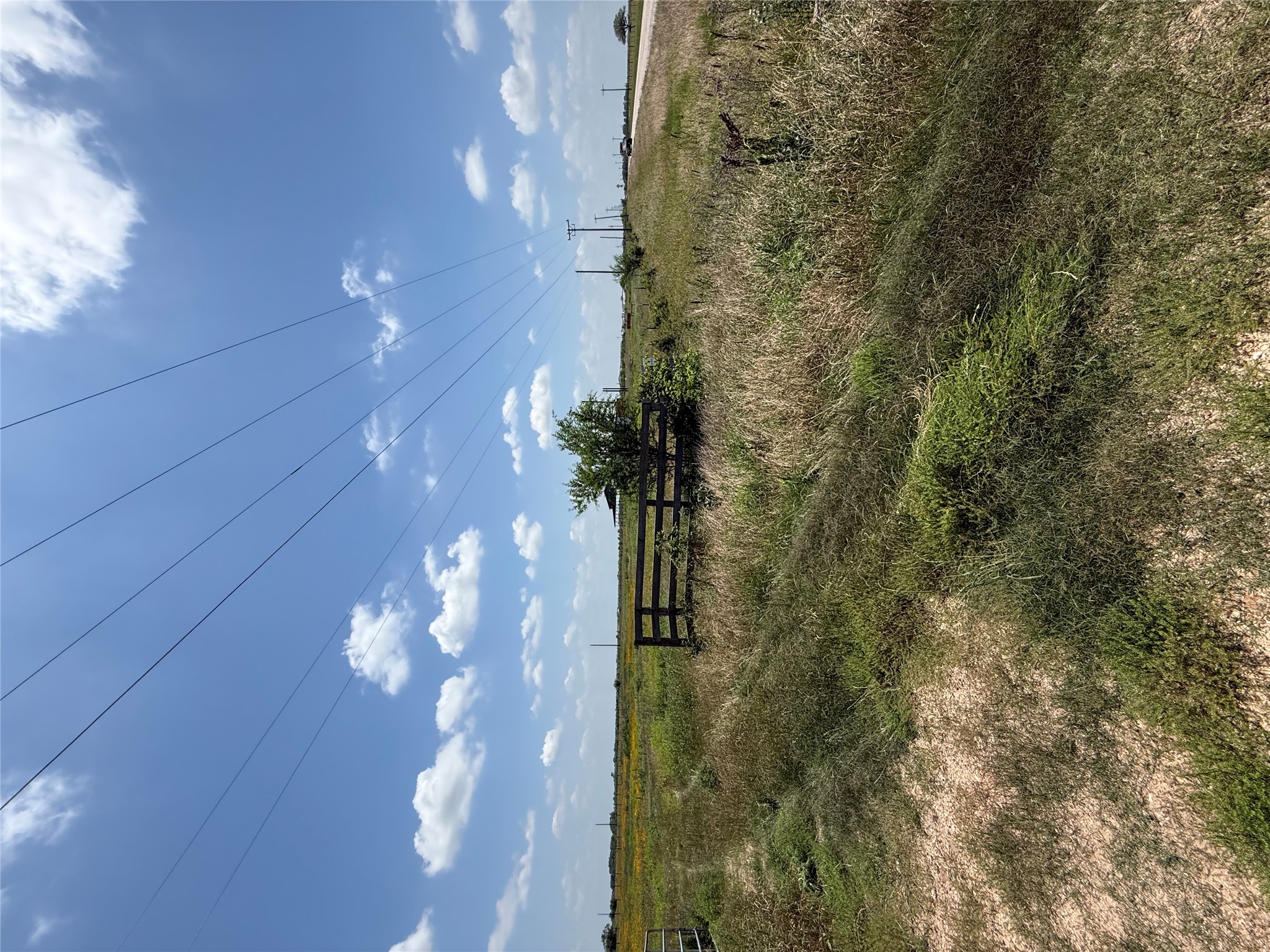 1993 FM 2761 Road Cat Spring, TX 78933 - Photo 9 of 10