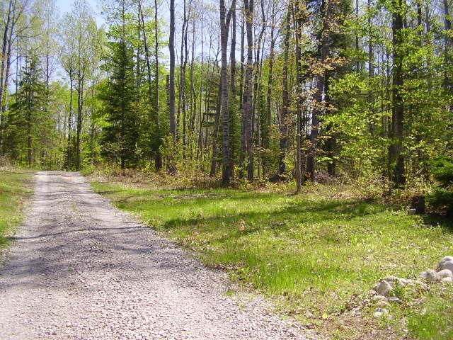 5609 North Abbe Road Comins, MI 48619 - Photo 30 of 32 Gallery Image 30