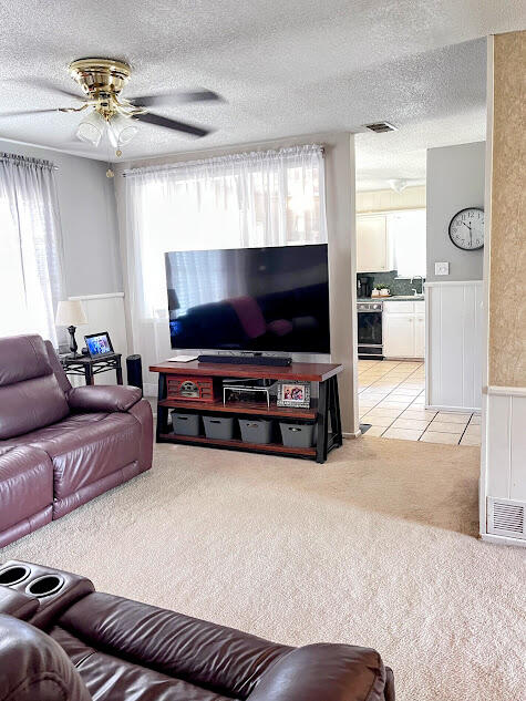 4813 53rd Street Lubbock, TX 79414 - Photo 7 of 21 4813 Livingroom 1