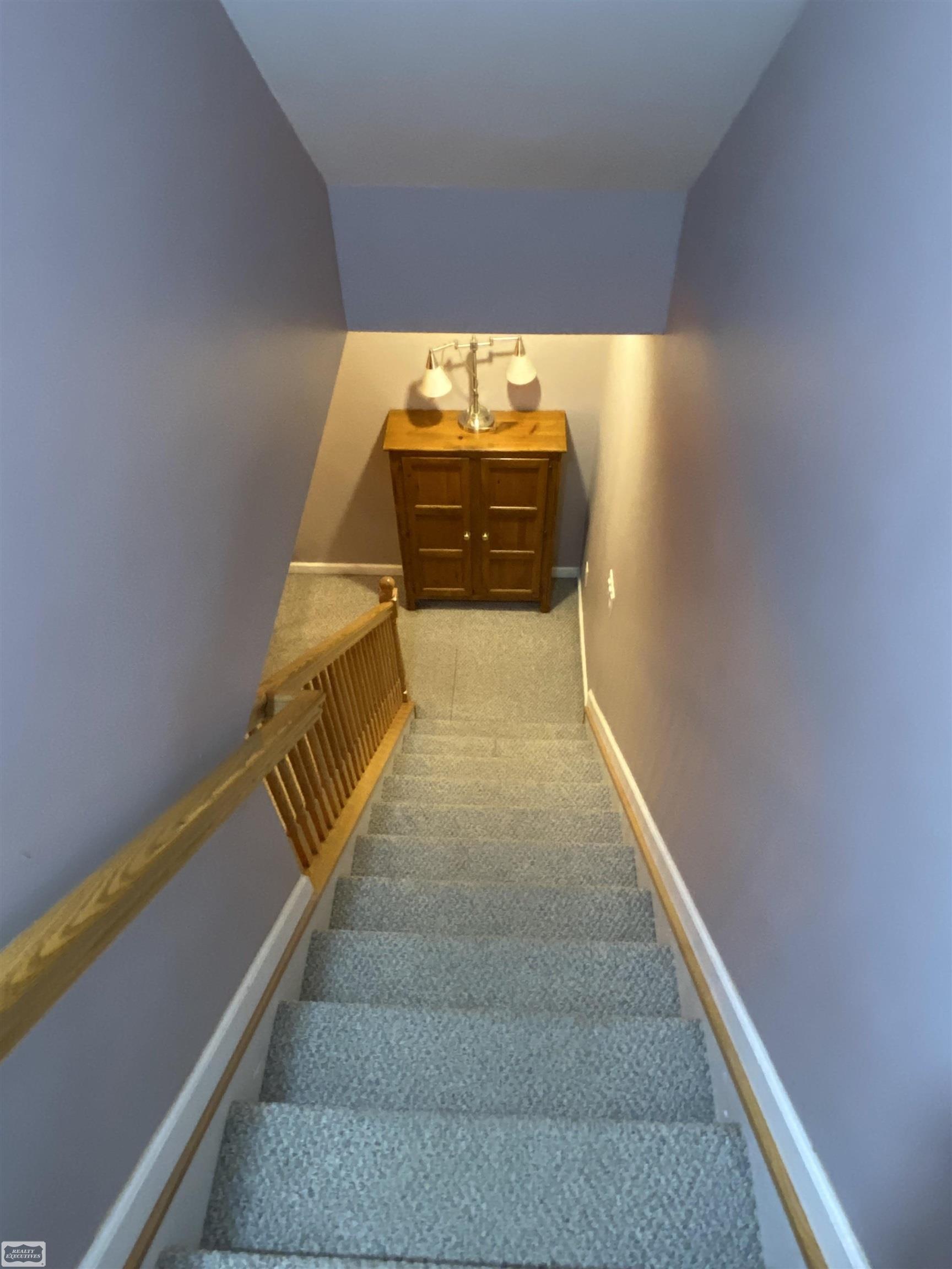 1155 Mayer Road St. Clair, MI 48079 - Photo 49 of 75 50105866-48.JPG