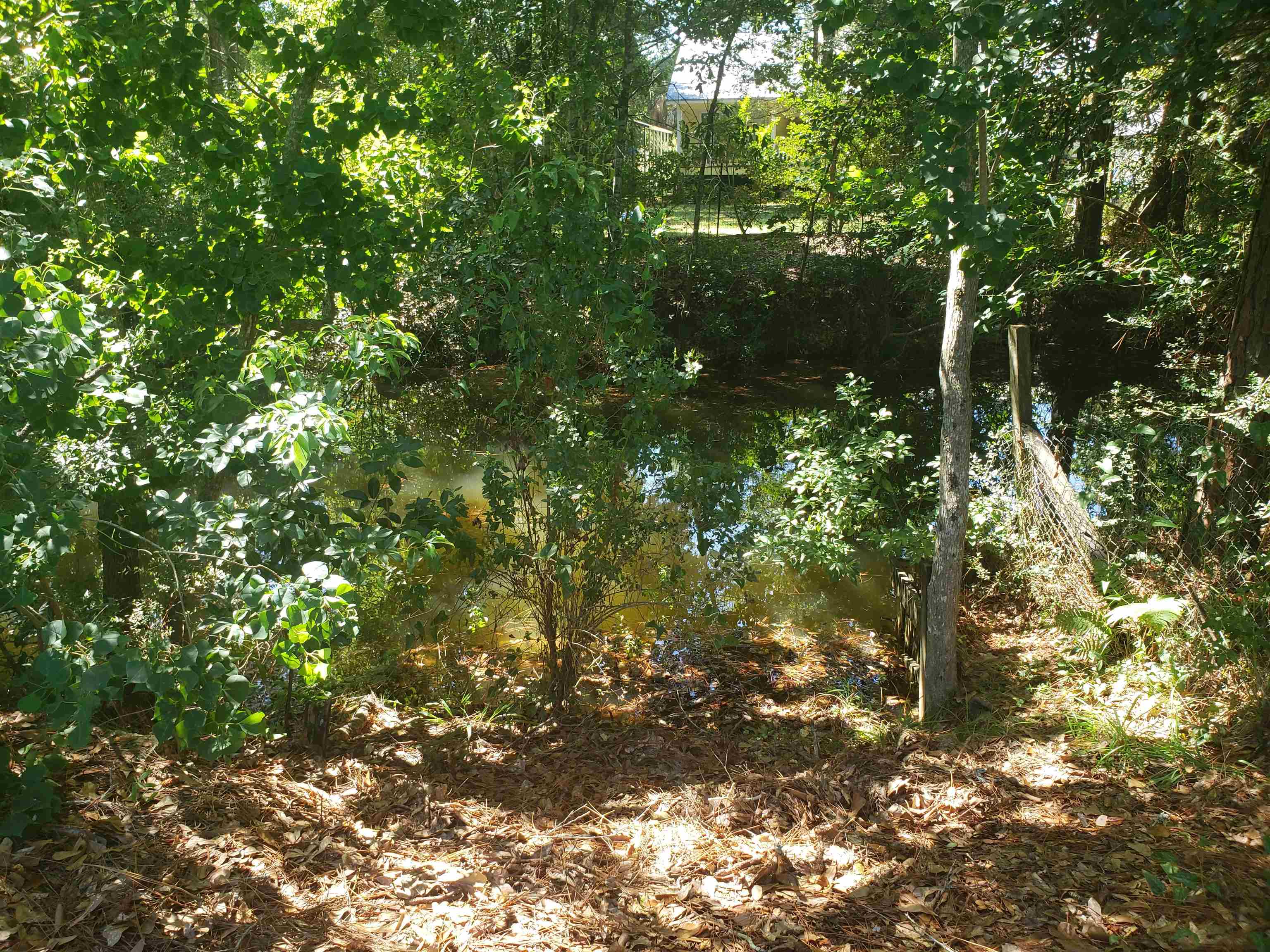 26375 Canal Street Elberta, AL 36530 - Photo 8 of 16