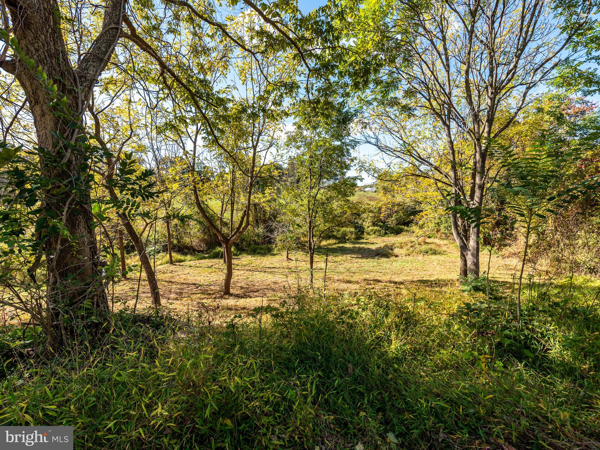 13467 Wilt Store Road Leesburg, VA 20176 - Photo 30 of 38 Gallery Image 30
