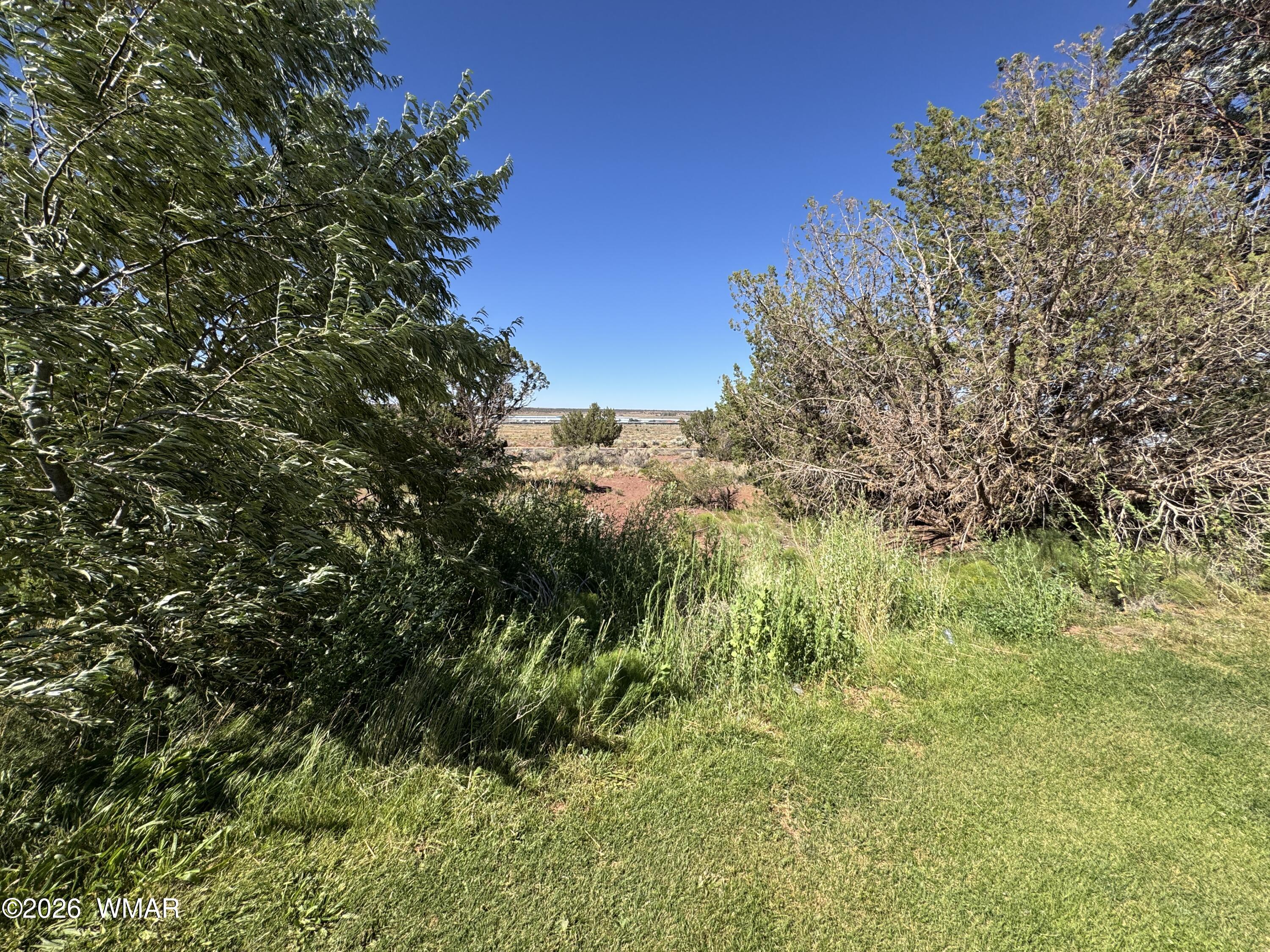 W Sand Trap Lane Snowflake, AZ 85937 - Photo 11 of 11 a view of a lush green space