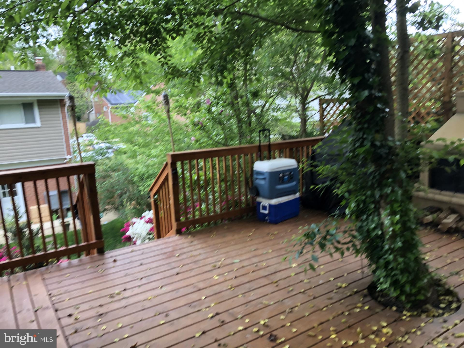 12910 Moray Road Silver Spring, MD 20906 - Photo 46 of 53