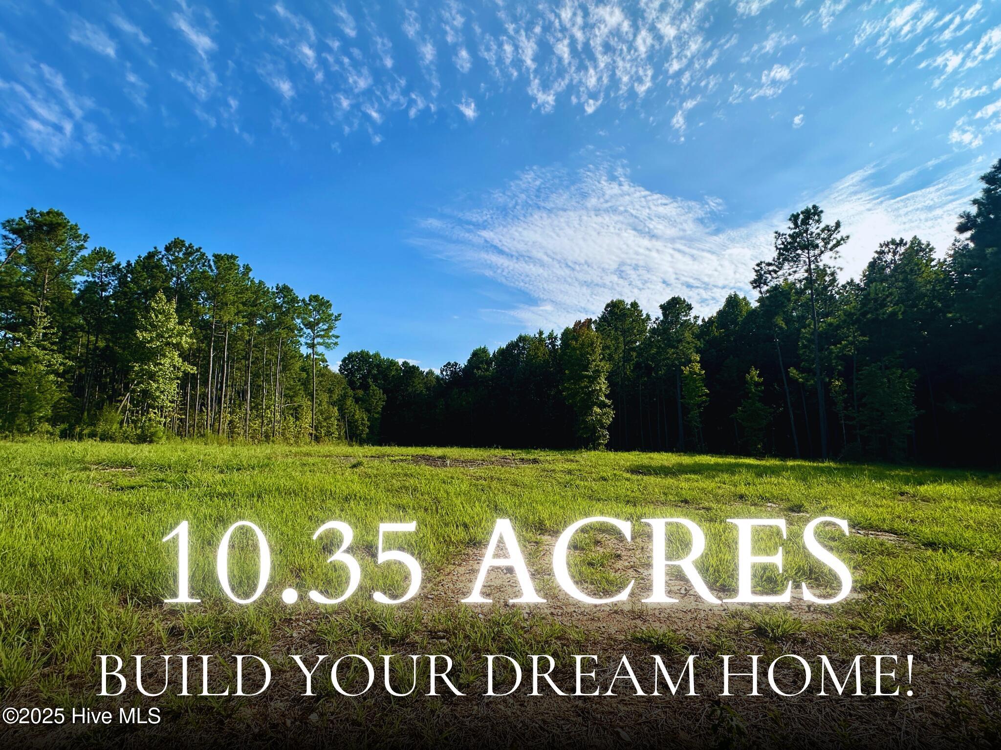 265 Old Eason Road Zebulon, NC 27597 - Photo 1 of 16 265 snag it